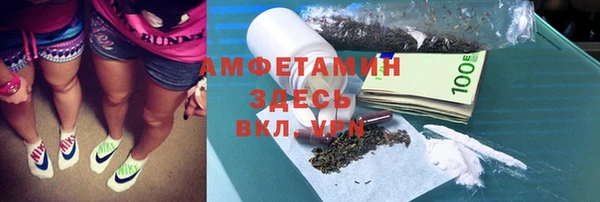 сатива Каменск-Шахтинский