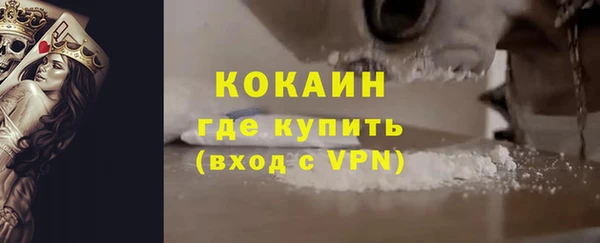 сатива Каменск-Шахтинский
