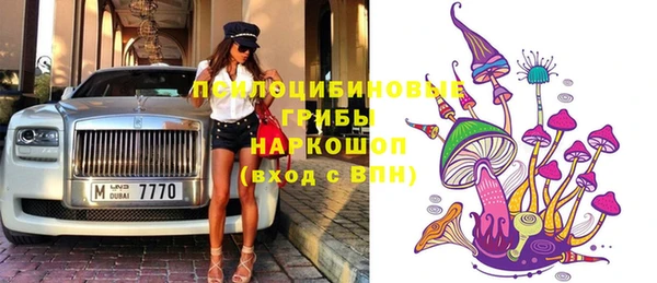 соль ск Иннополис