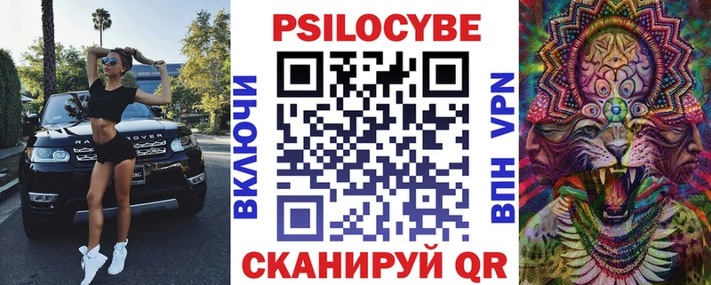 Купить  Баксан  Псилоцибиновые грибы Magic Shrooms 